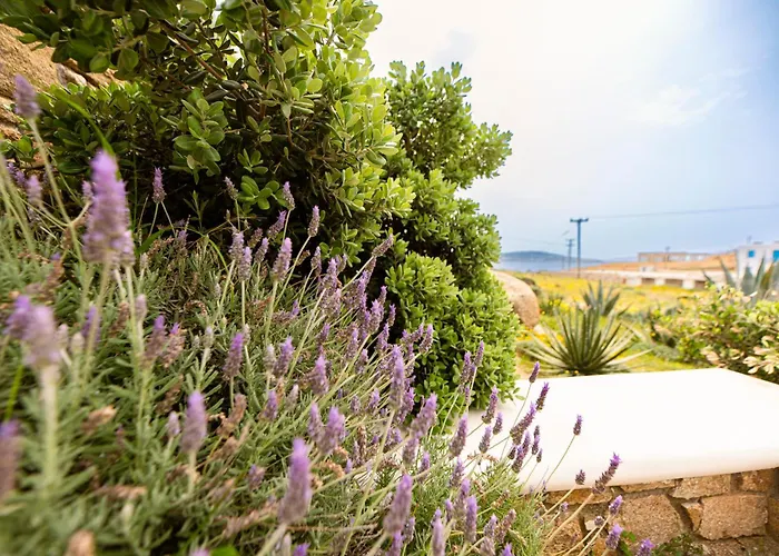 Opus Apartamento Agios Stefanos (Mykonos)