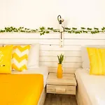 Apartament Opus